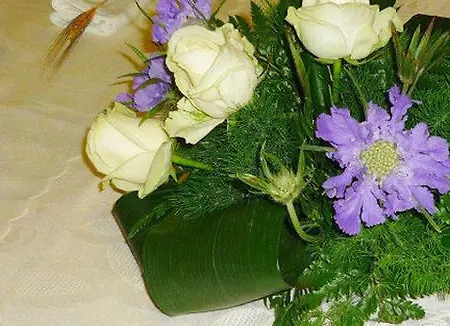 Europa Arma di Taggia